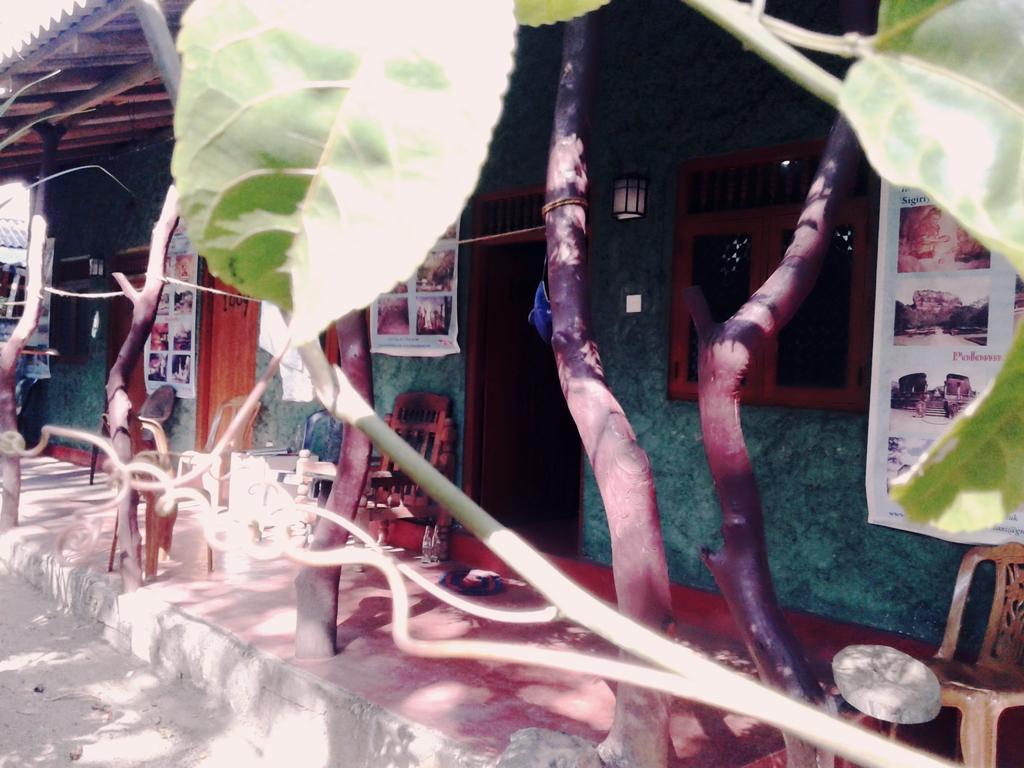Bluesky Guest House Dambulla Luaran gambar