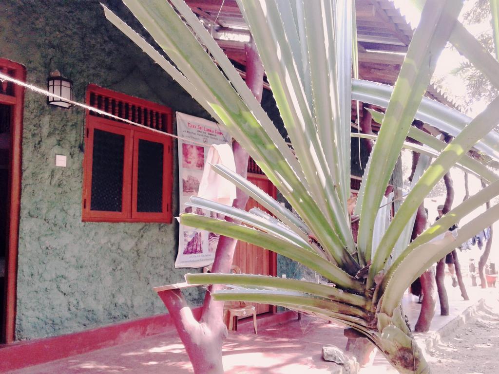 Bluesky Guest House Dambulla Luaran gambar