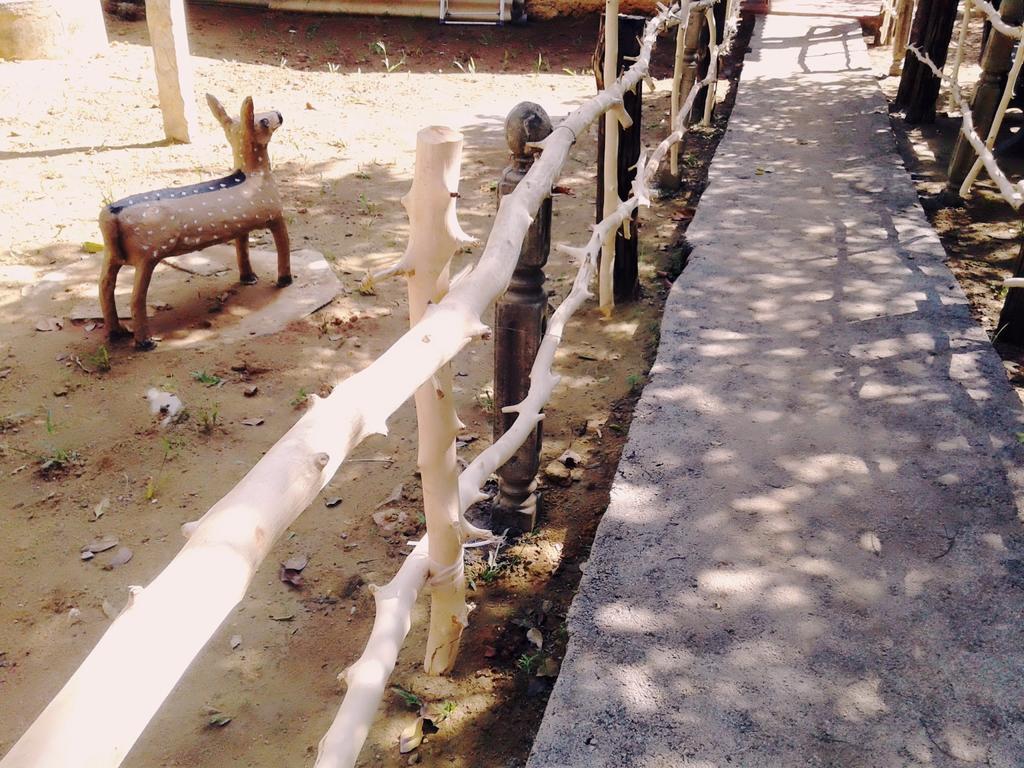 Bluesky Guest House Dambulla Luaran gambar
